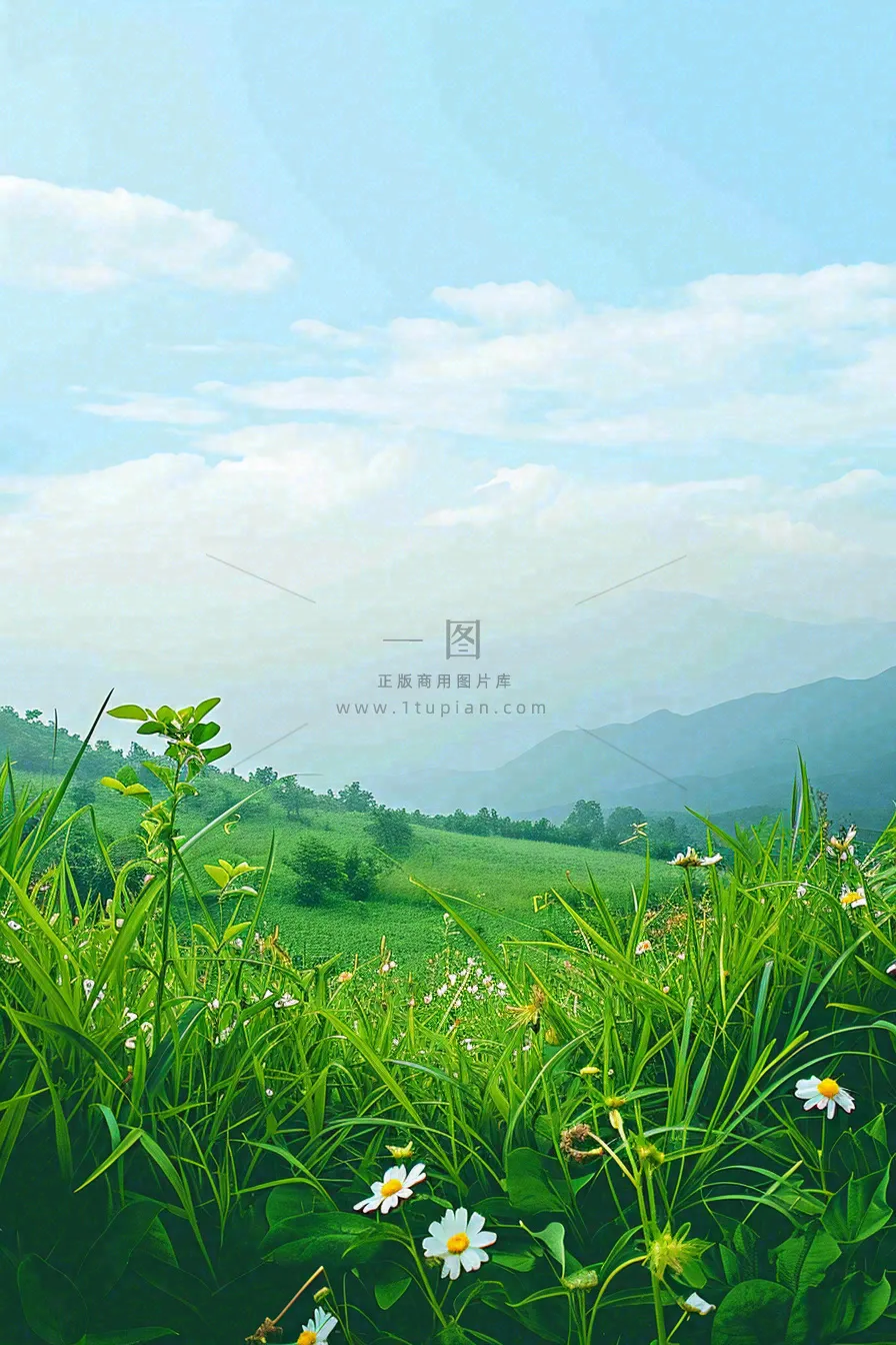 春天野外绿草繁花阳光明媚立春,春分,野外郊游,踏青,春游