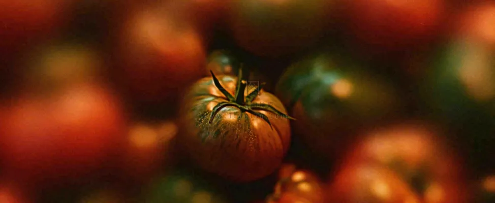 蔬菜西兰花西红柿番茄摄影摄影图