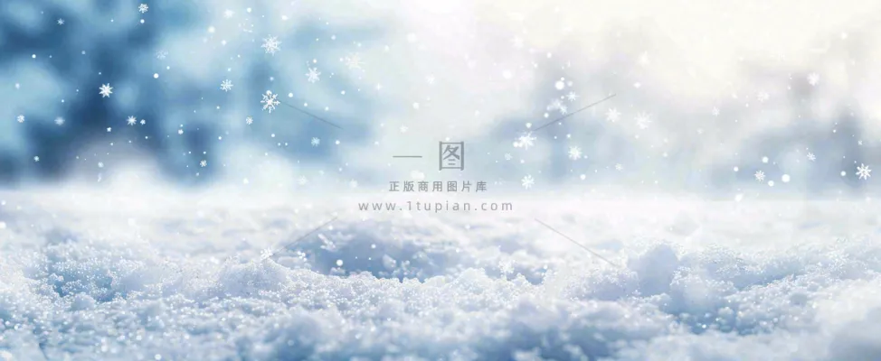 冬天白色闪耀的雪花寒冷唯美小寒大寒立冬大雪摄影图