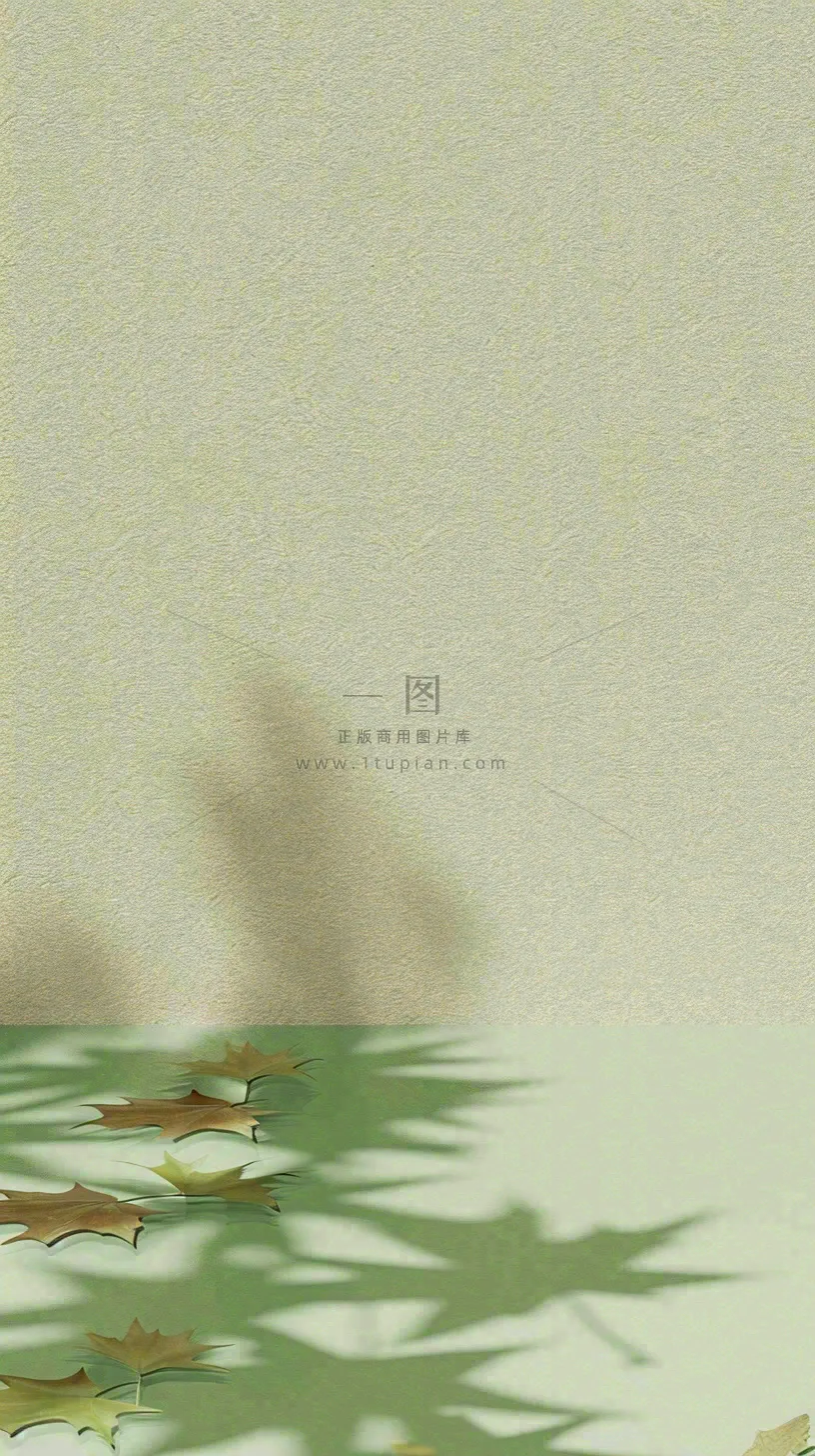 简约绿色叶子影子纹理