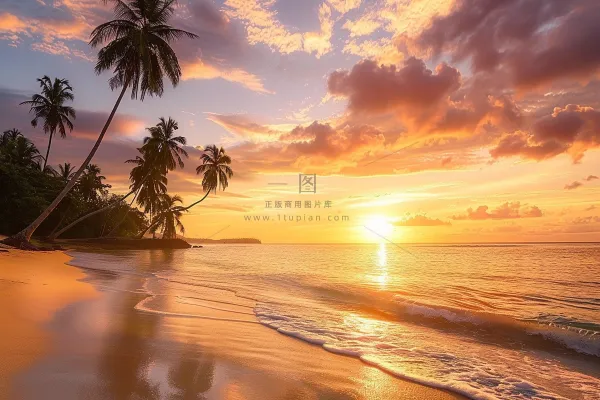 清晨日出朝霞云层摄影图