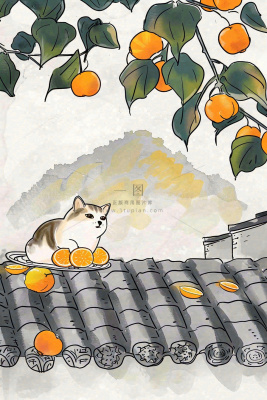 古风屋檐上的橘子树猫咪中国风插画处暑秋分白露插画背景