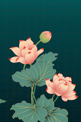 绿色简约清新莲花节气背景