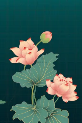 绿色简约清新莲花节气背景