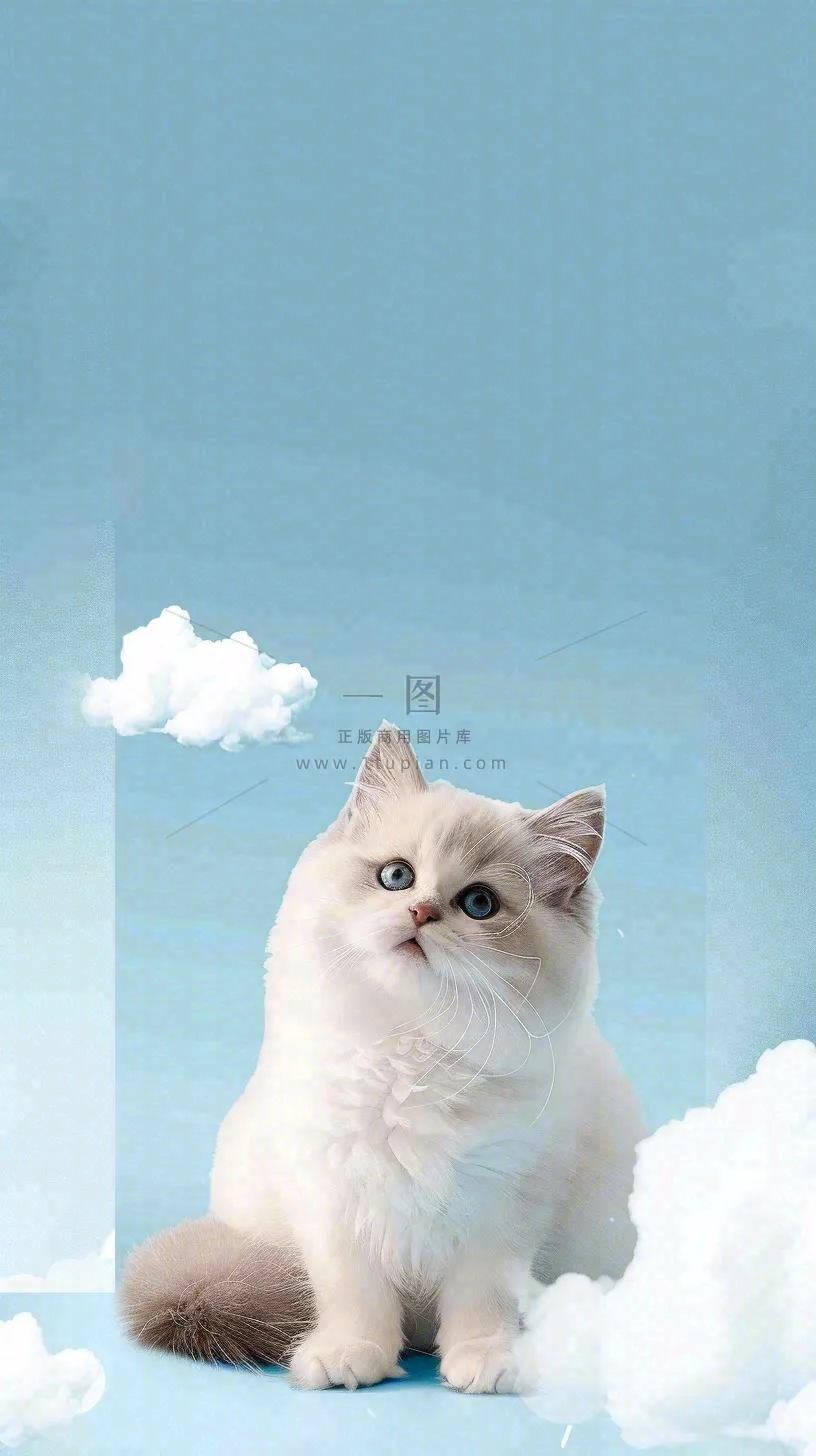 宠物常识宠物攻略猫狗卡通插画背景