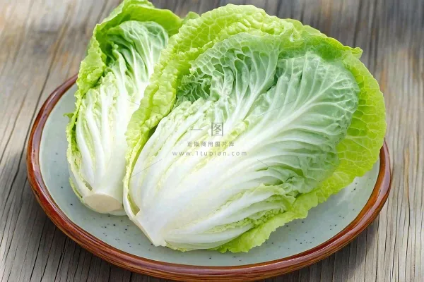 白菜蔬菜摄影图