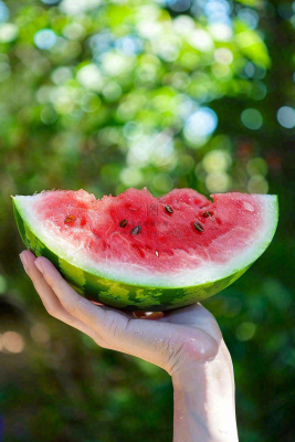 夏日解暑西瓜手握西瓜清凉夏至大暑处暑摄影图