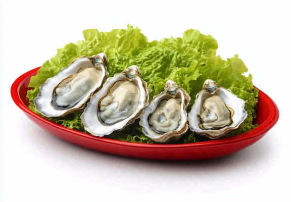 新鲜生蚝宵夜食物海鲜摄影图