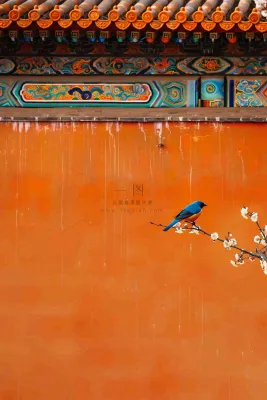 博物馆日 博物馆日