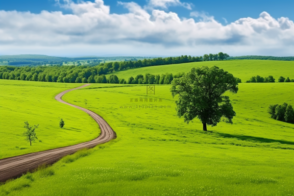 新疆春天草原风光大自然风景摄影图