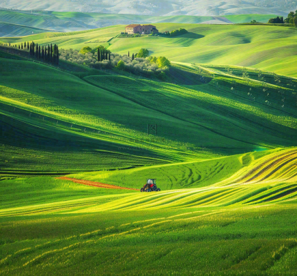 农田庄稼里耕种的机器农忙劳动节摄影图