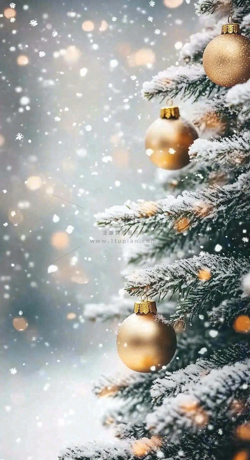 平安夜圣诞节背景