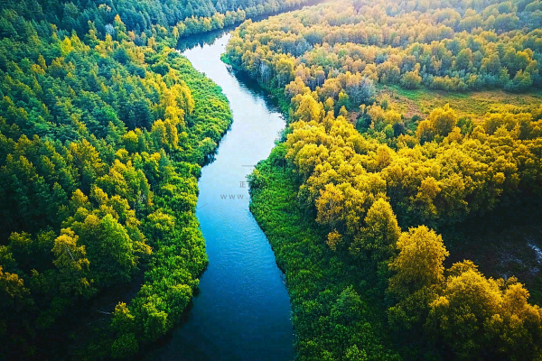 秋天立秋森林大自然风景摄影图 秋天立秋森林大自然风景摄影图