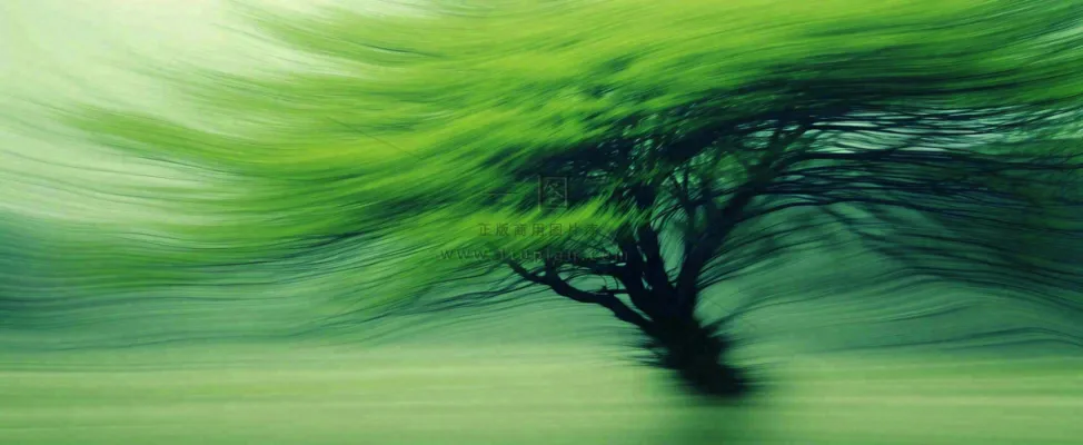 绿色植物树木绚丽虚幻背景