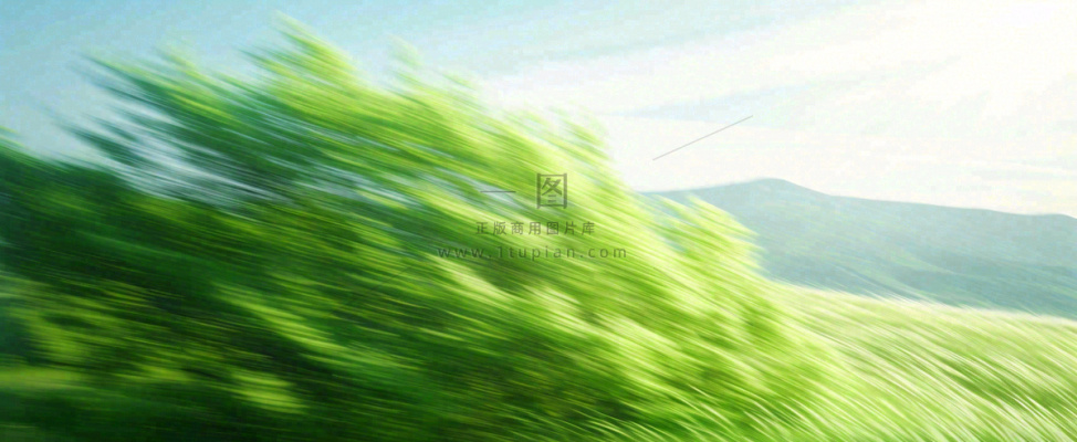 高山模糊绿树植物光影，大自然摄影图