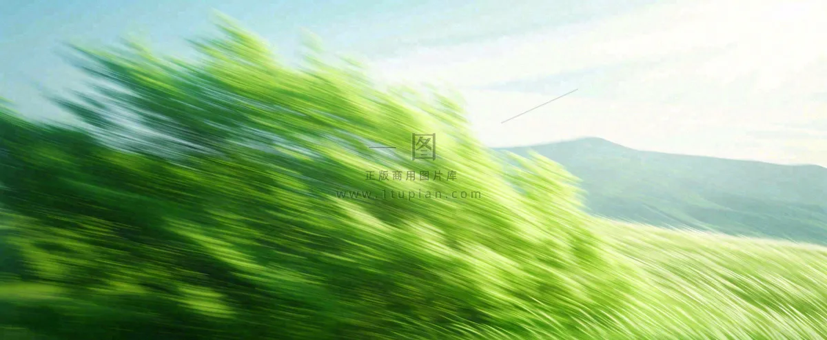 高山模糊绿树植物光影,大自然摄影图