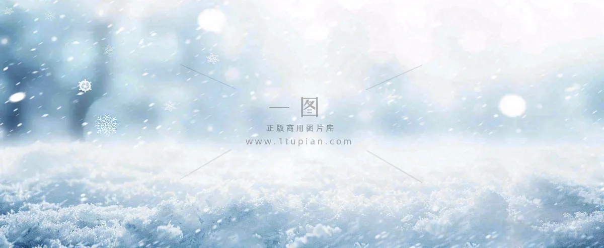 冬天白色闪耀的雪花寒冷唯美小寒大寒立冬大雪摄影图