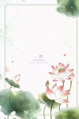 夏天荷花荷叶清凉小清新淡雅立夏夏至暑插画背景