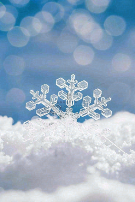 冰天雪地里的透明雪花白雪立冬小寒大寒冬至摄影图/