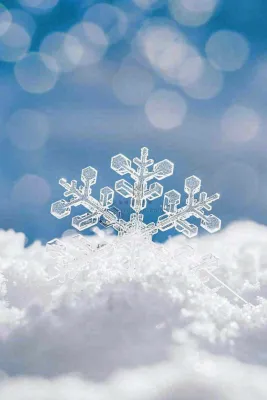 冰天雪地里的透明雪花白雪立冬小寒大寒冬至摄影图/