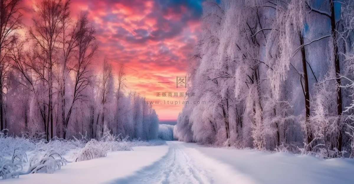 茫茫的雪原日落夕阳普照摄影图