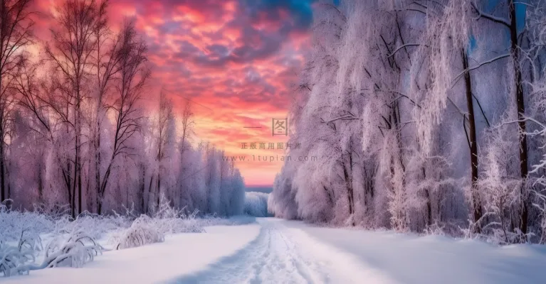 茫茫的雪原日落夕阳普照摄影图