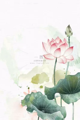 夏天荷花荷叶清凉小清新淡雅立夏夏至暑插画背景 夏天荷花荷叶清凉小清新淡雅立夏夏至暑插画背景