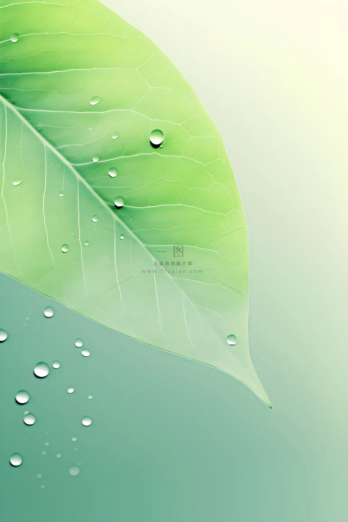 简约清新渐变黄绿色树叶纹理背景
