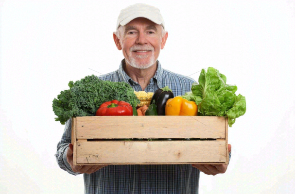 木框里的蔬菜绿色生鲜农夫摄影图