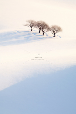 大雪简约雪景白雪浪漫节气海报背景 大雪简约雪景白雪浪漫节气海报背景