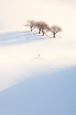 大雪简约雪景白雪浪漫节气海报背景 大雪简约雪景白雪浪漫节气海报背景