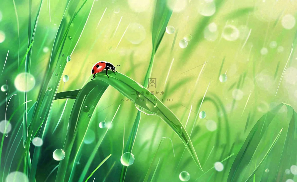 惊蛰雨水谷雨春天瓢虫昆虫绿色嫩草下雨天卡通插画背景
