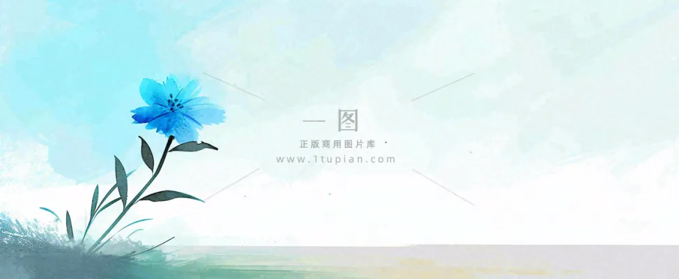 夏天海面清新绿植简约插画,夏至春分谷雨 夏天海面清新绿植简约插画,夏至春分谷雨