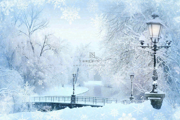 冬天白雪皑皑雪景河流街道路灯桥小雪大雪冬至雪花背景