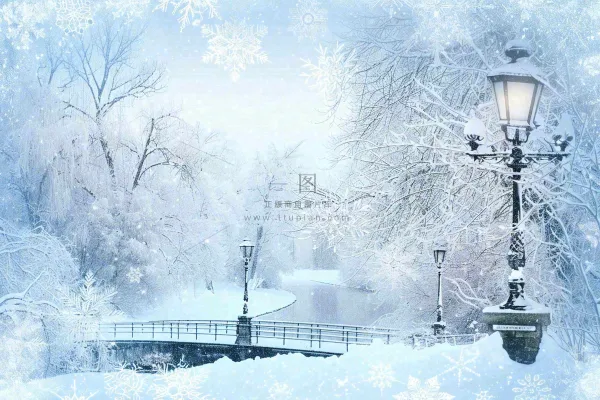 冬天白雪皑皑雪景河流街道路灯桥小雪大雪冬至雪花背景