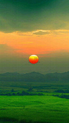 春天落日温馨稻草水稻农田种植，小满芒种摄影图