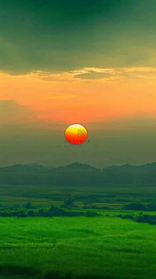 春天落日温馨稻草水稻农田种植，小满芒种摄影图