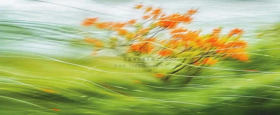 橙色鲜花意境流水渐变朦胧背景