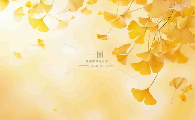 秋天银杏树黄叶落叶立秋秋分手绘插画背景 秋天银杏树黄叶落叶立秋秋分手绘插画背景