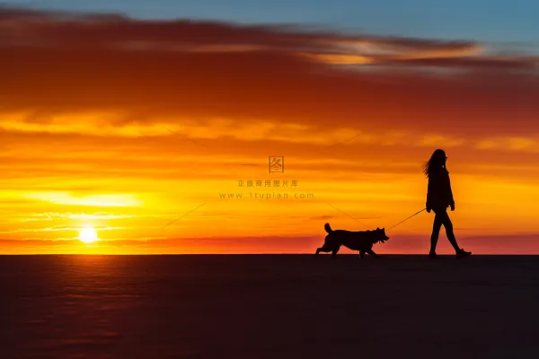 夕阳落日下遛狗的人海边沙滩晚霞摄影图