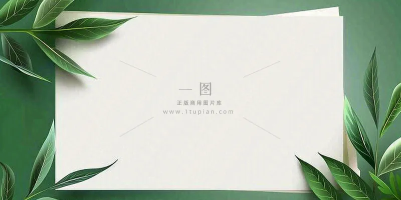 绿叶粽叶绿色边框白色信封端午节插画背景 绿叶粽叶绿色边框白色信封端午节插画背景