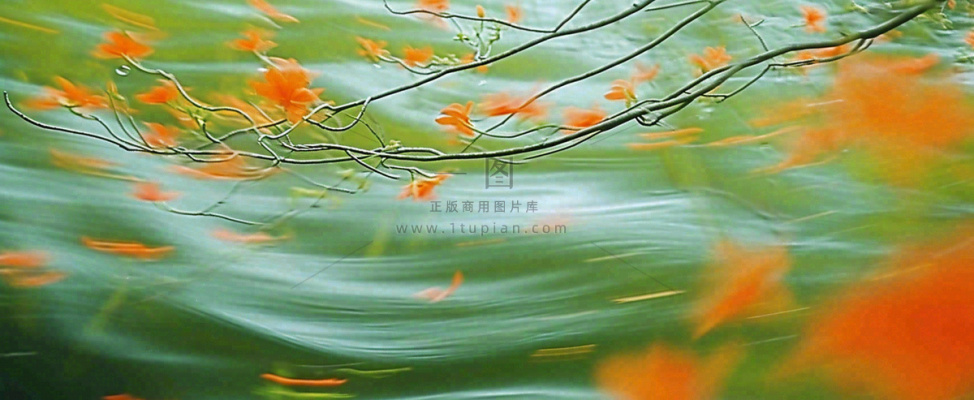 橙色鲜花意境流水渐变朦胧背景