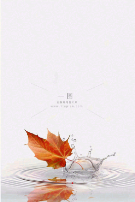 秋天枫叶掉落在水面倒影立秋秋分摄影图