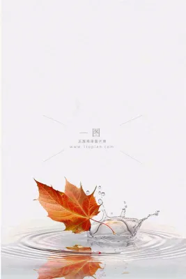 秋天枫叶掉落在水面倒影立秋秋分摄影图