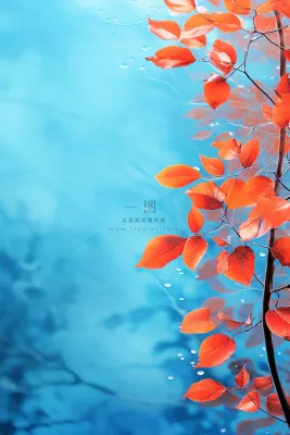 红叶大气简约蓝色背景 红叶大气简约蓝色背景
