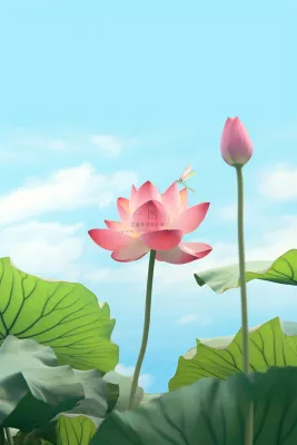 清新阳光荷花荷叶天空节气海报背景 清新阳光荷花荷叶天空节气海报背景