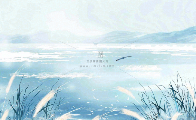 唯美白露插画白鹭动物风景秋天景色寒冷清冷芦苇丛寒露背景