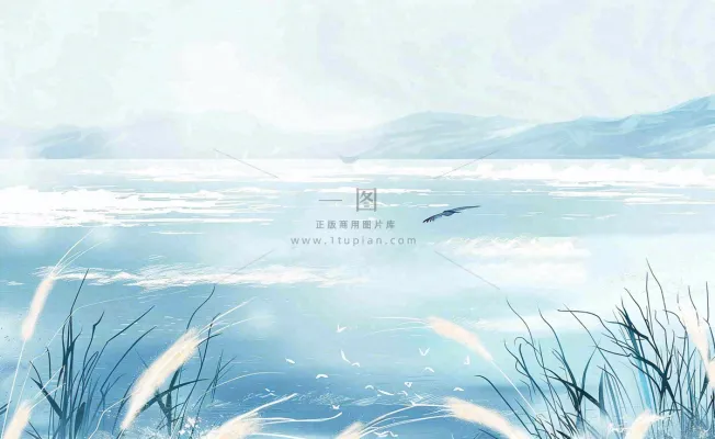 唯美白露插画白鹭动物风景秋天景色寒冷清冷芦苇丛寒露背景