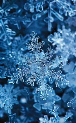 冬天寒冷白雪结冰小寒摄影图