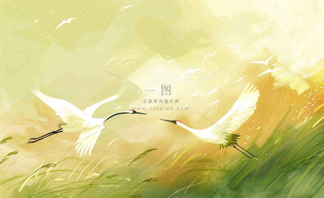 秋天白鹭飞鹤芦苇丛白露寒露节气插画背景